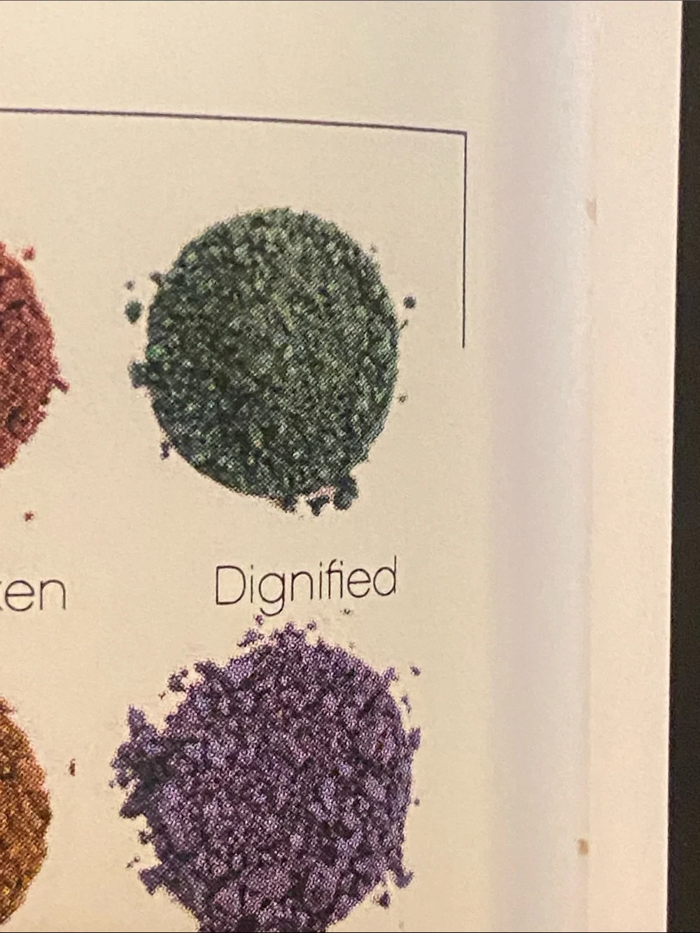 Younique Shimmer Pigment - deep green Dignified